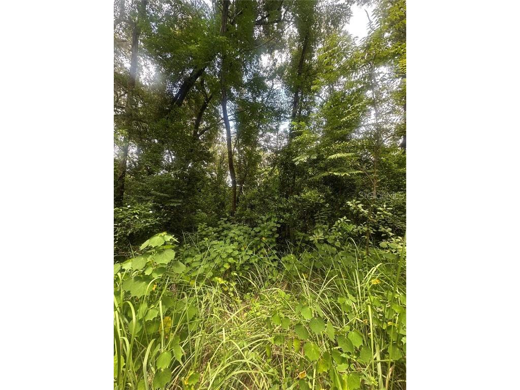 224 Old Mulrennan Road Valrico FL 33594 TB8409710 image4