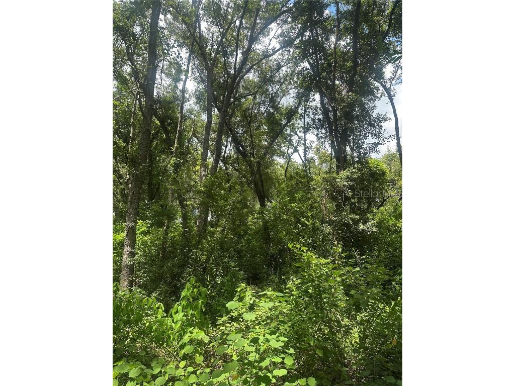 224 Old Mulrennan Road Valrico FL 33594 TB8409710 image5