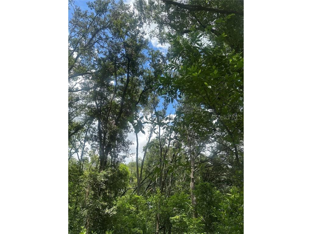 224 Old Mulrennan Road Valrico FL 33594 TB8409710 image6