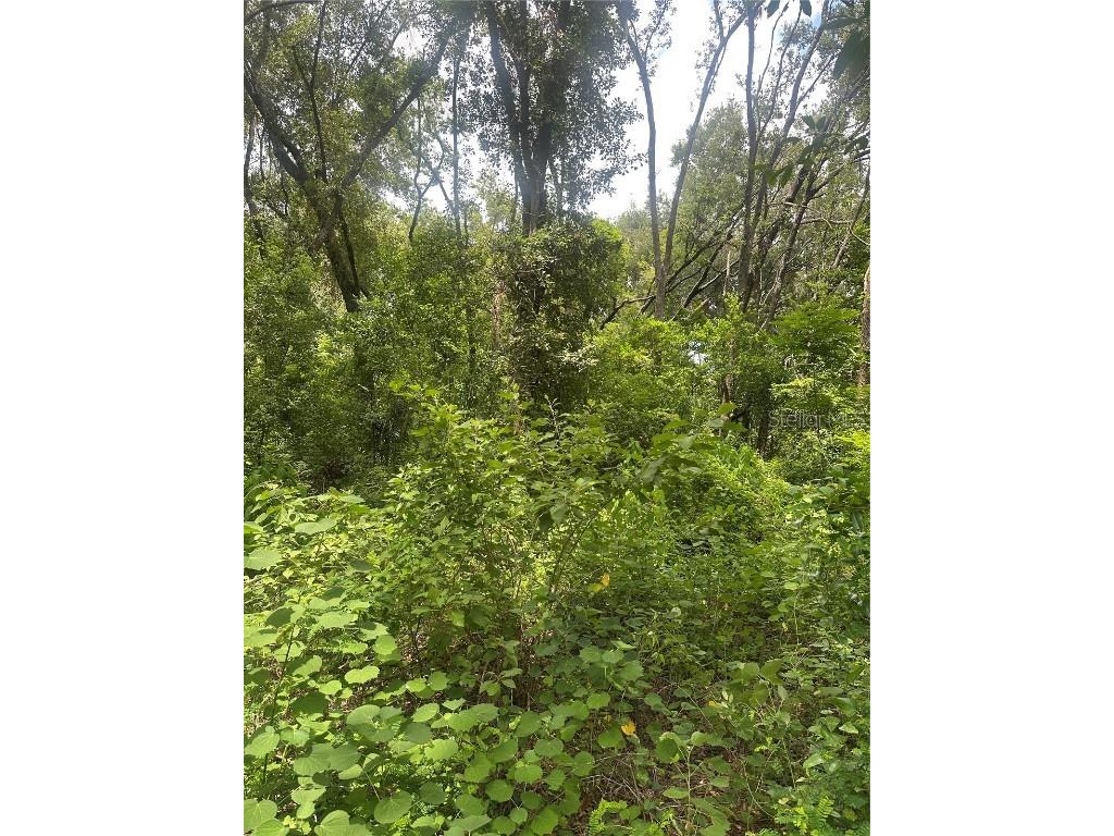 224 Old Mulrennan Road Valrico FL 33594 TB8409710 image7