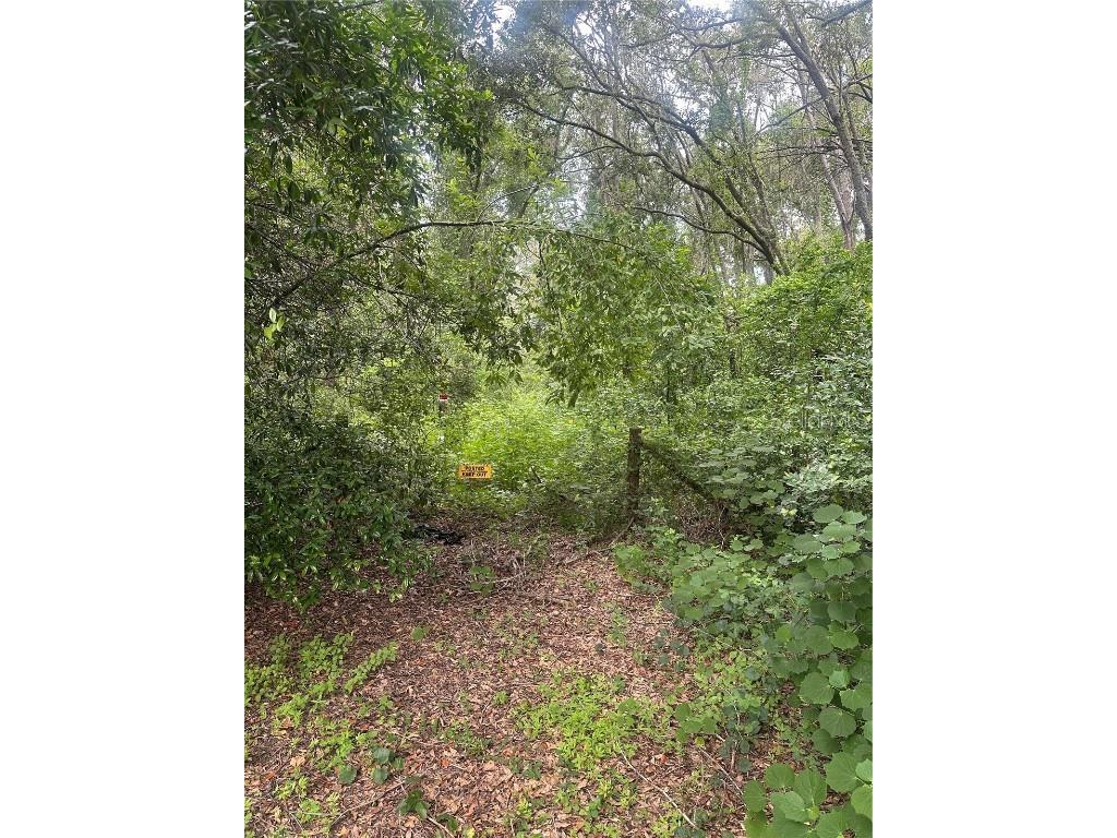 224 Old Mulrennan Road Valrico FL 33594 TB8409710 image8