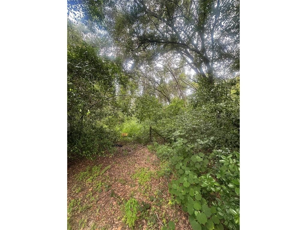 224 Old Mulrennan Road Valrico FL 33594 TB8409710 image9