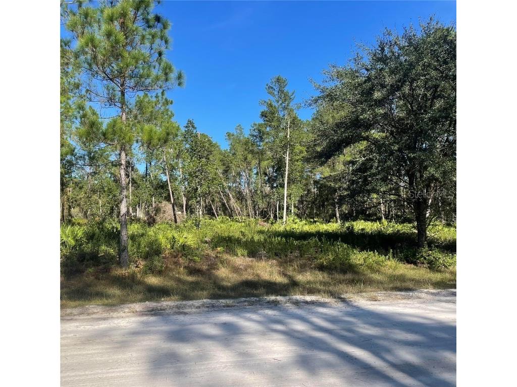 224 Plumosa Drive Georgetown FL 32139 O6165900 image1