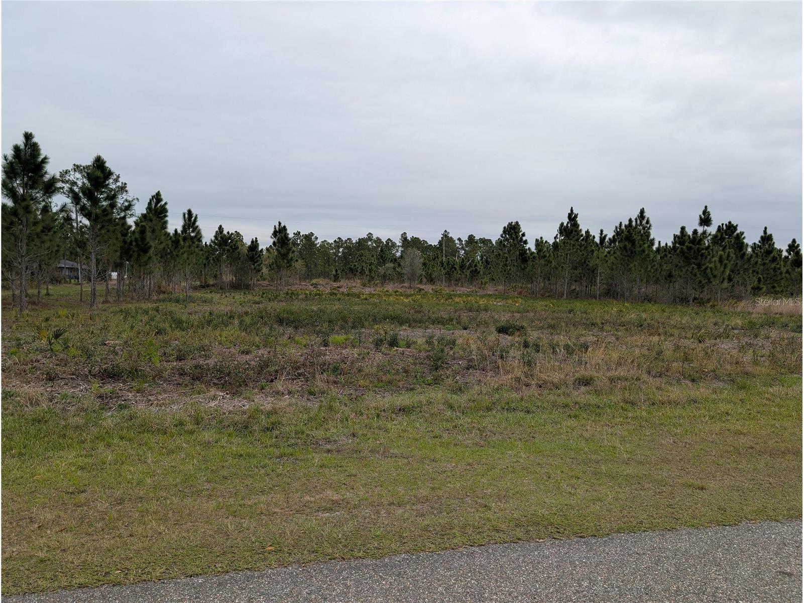 224 Poinciana Drive Indian Lake Estates FL 33855 - LAKE WALK-IN-WATER P4938160 image1