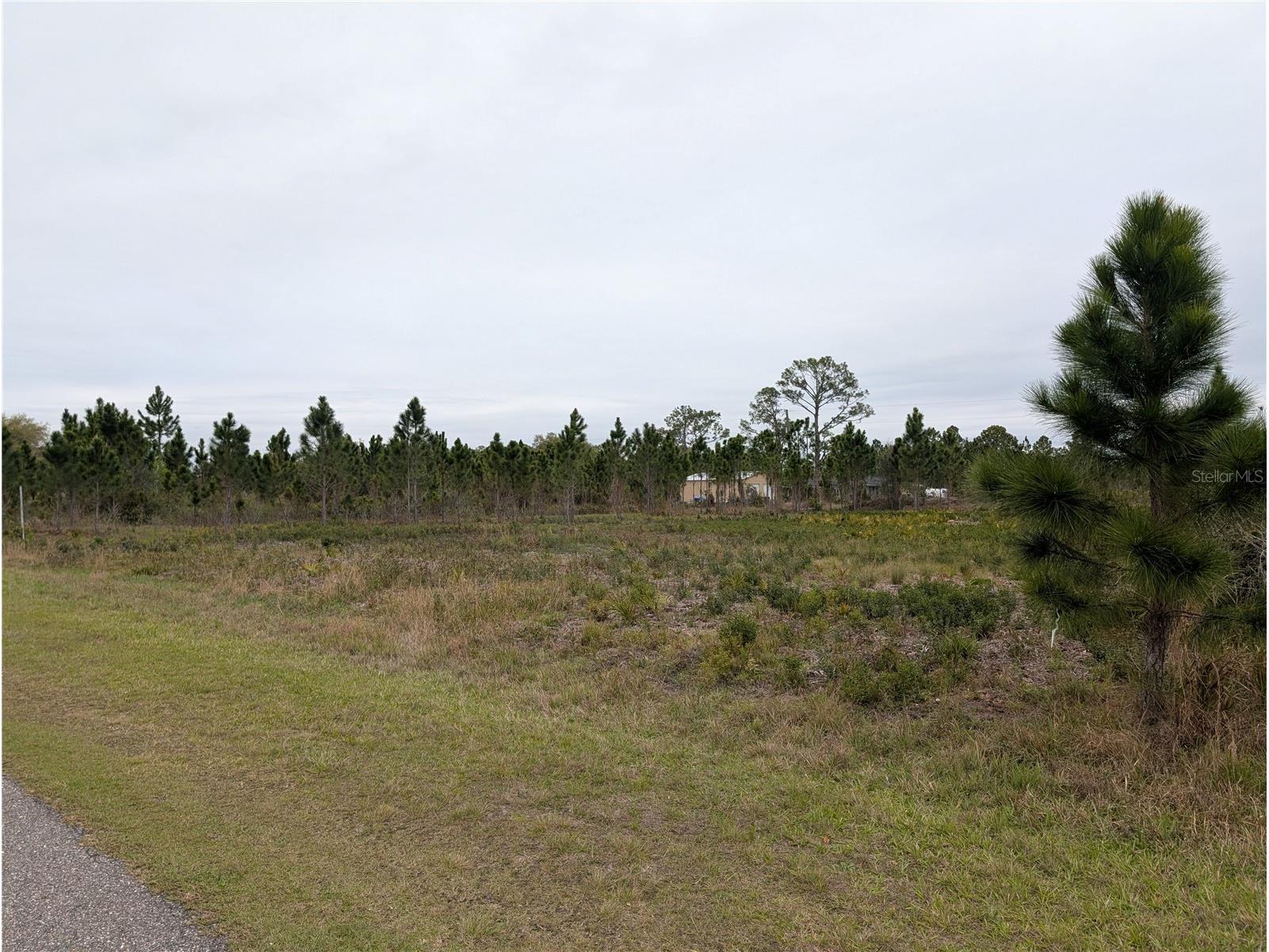 224 Poinciana Drive Indian Lake Estates FL 33855 - LAKE WALK-IN-WATER P4938160 image2