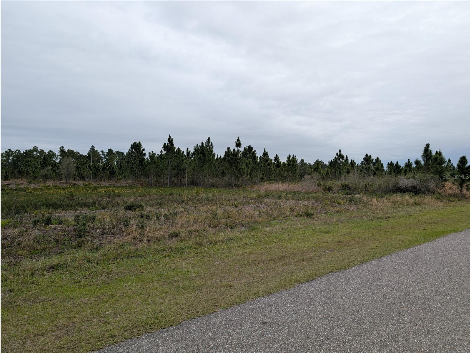 224 Poinciana Drive Indian Lake Estates FL 33855 - LAKE WALK-IN-WATER P4938160 image29