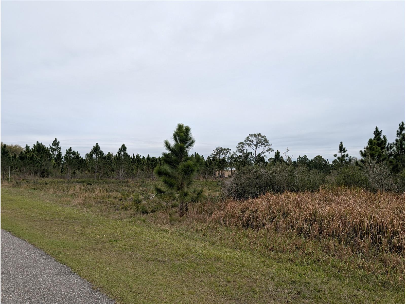 224 Poinciana Drive Indian Lake Estates FL 33855 - LAKE WALK-IN-WATER P4938160 image3