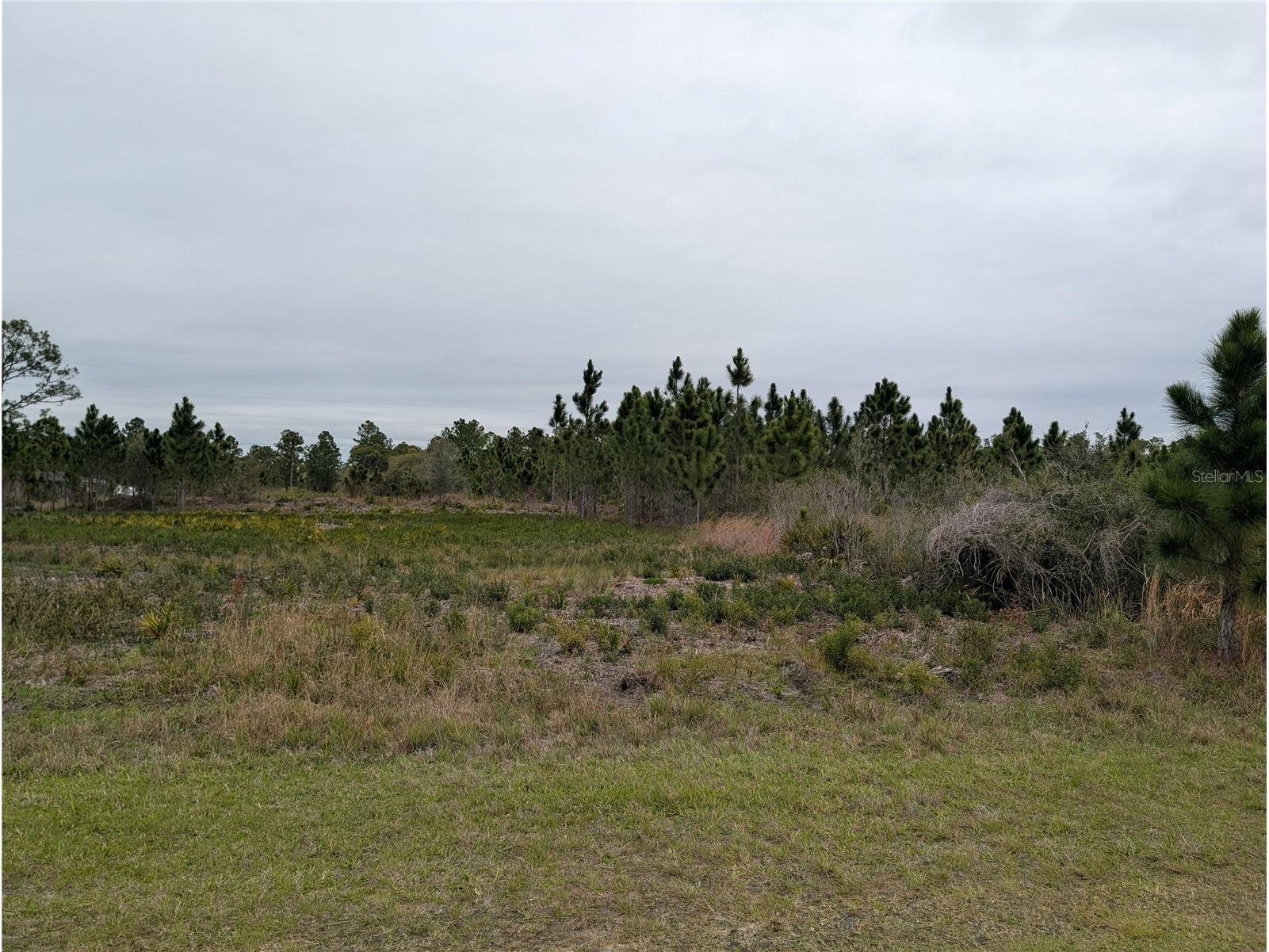 224 Poinciana Drive Indian Lake Estates FL 33855 - LAKE WALK-IN-WATER P4938160 image31