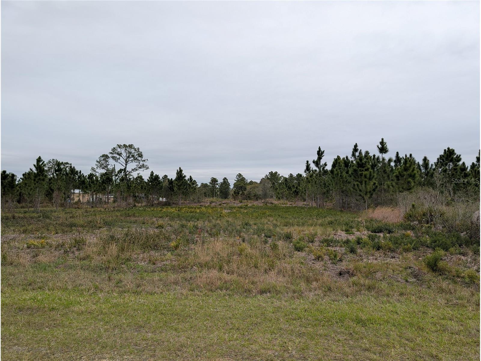 224 Poinciana Drive Indian Lake Estates FL 33855 - LAKE WALK-IN-WATER P4938160 image4