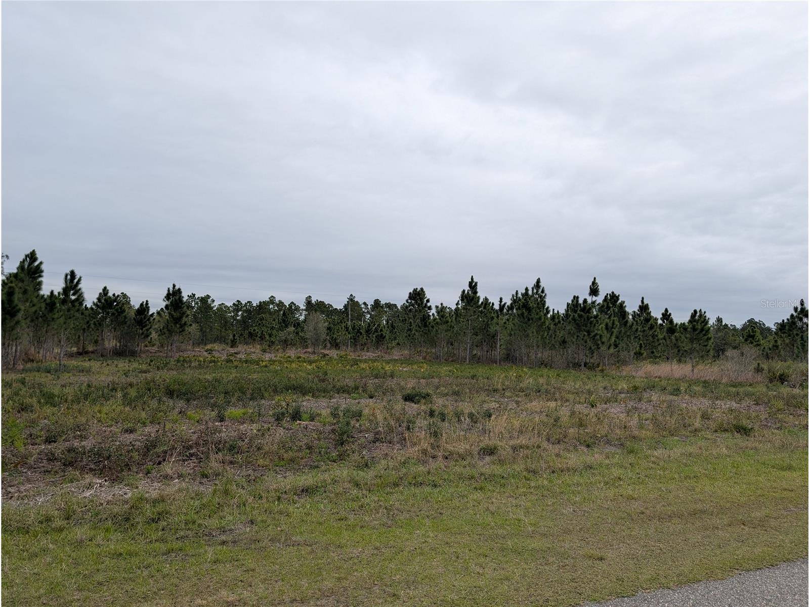 224 Poinciana Drive Indian Lake Estates FL 33855 - LAKE WALK-IN-WATER P4938160 image7