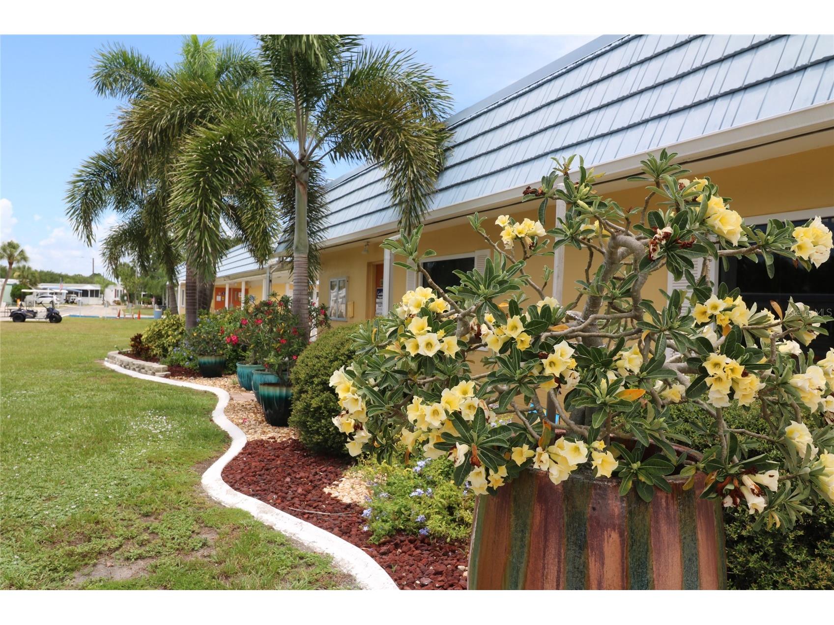 224 S Port Royal Lane Apollo Beach FL 33572 TB8463571 image27