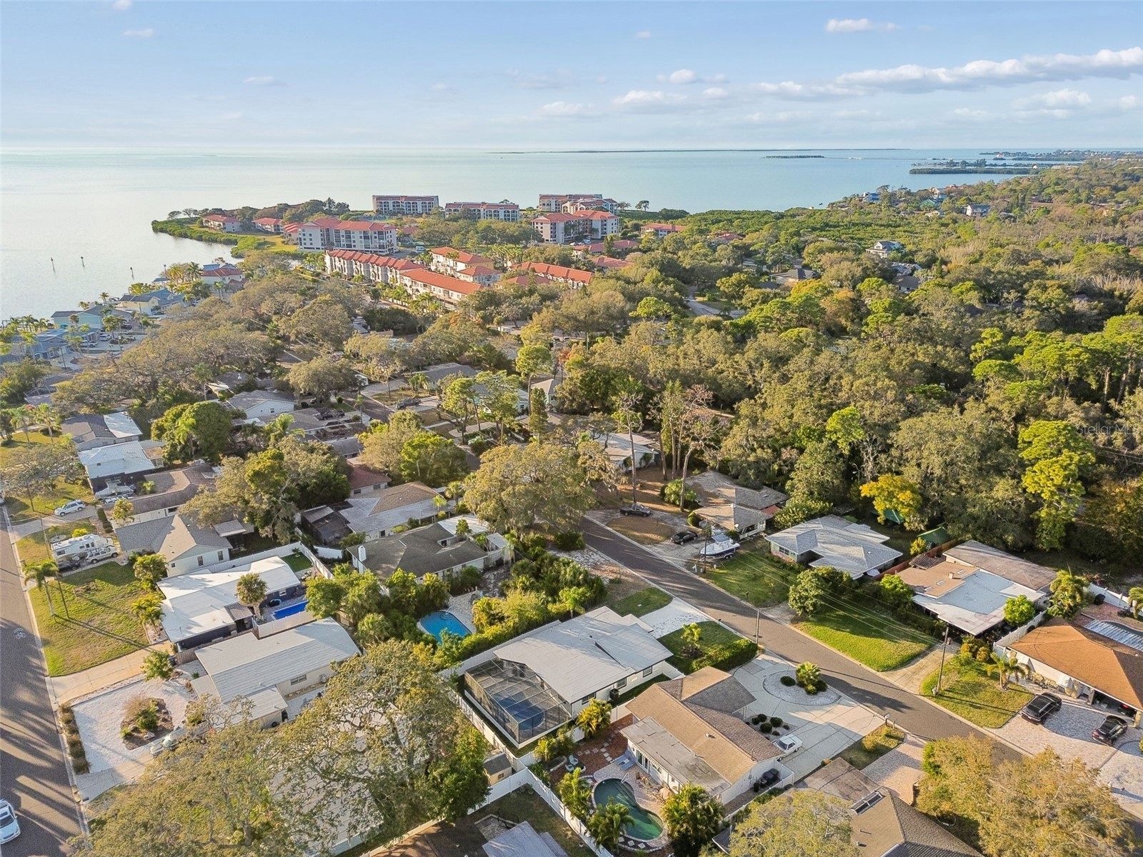224 Timberlane Drive Palm Harbor FL 34683 TB8470487 image36