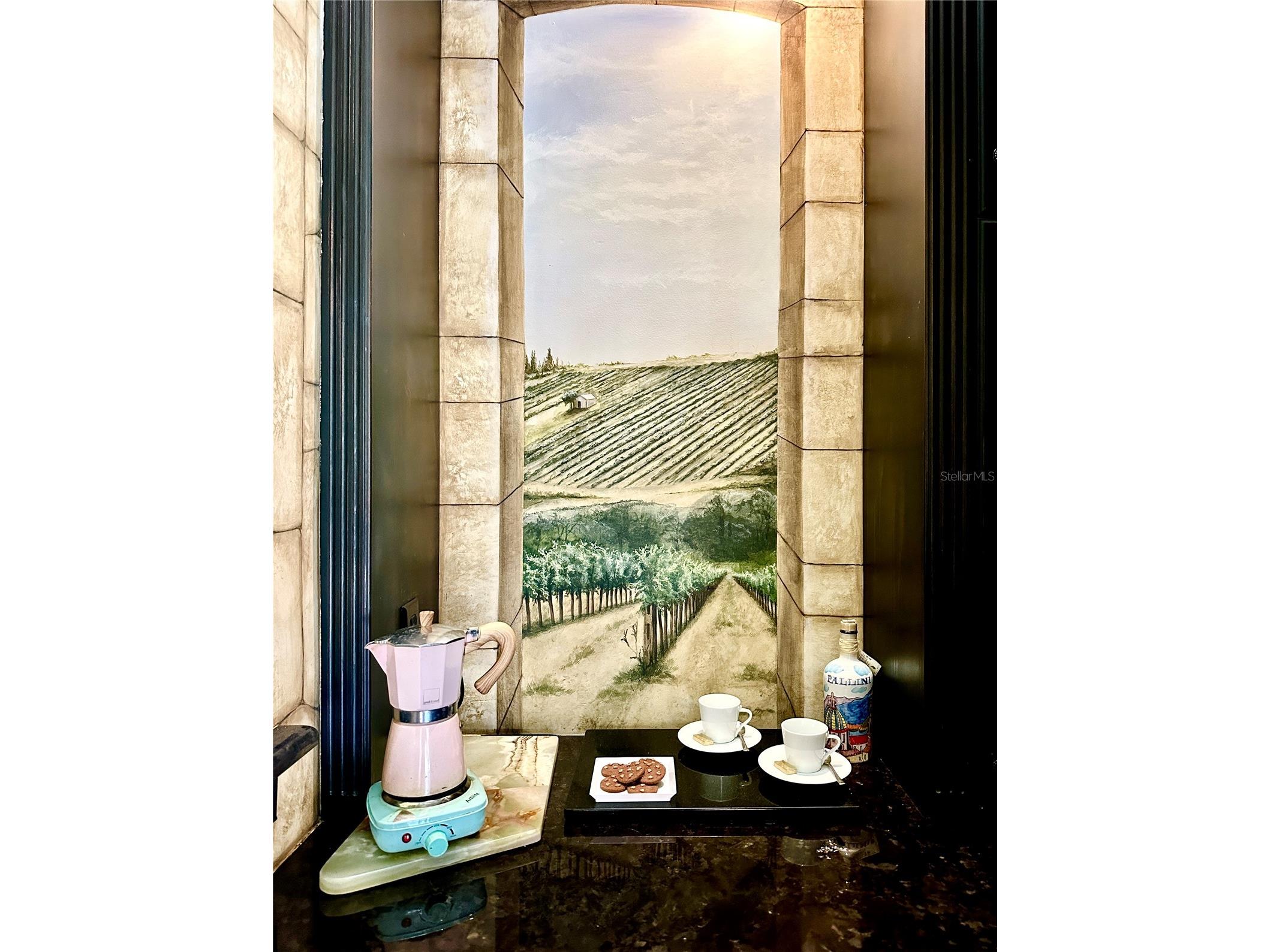 224 Vista Della Toscana Ormond Beach FL 32174 FC315292 image55