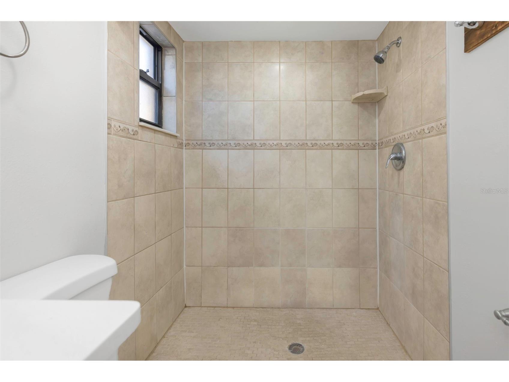 224 Whisper Lake Road Palm Harbor FL 34683 TB8457320 image14