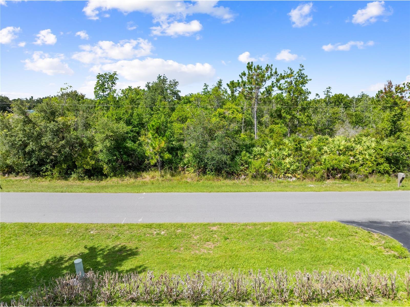 2240 Bronco Dr Saint Cloud FL 34771 S5154391 image3
