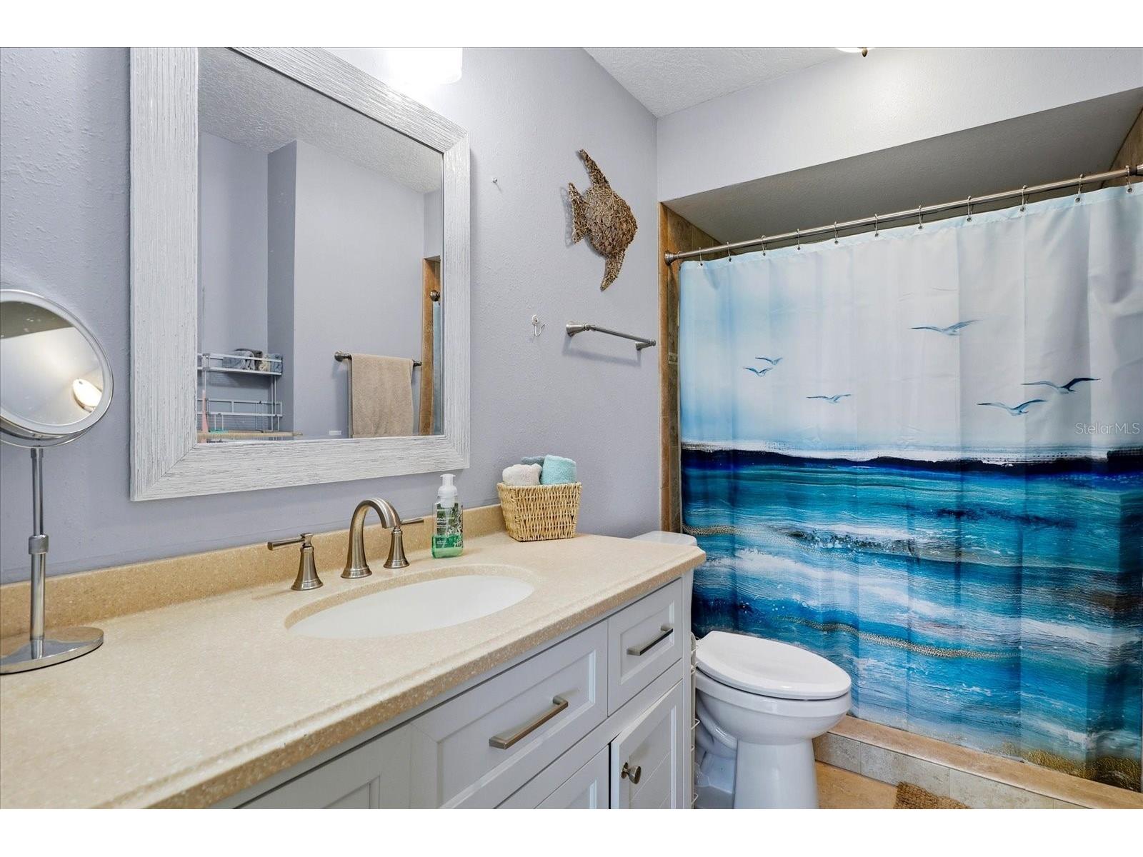 2240 Gulf View Boulevard Dunedin FL 34698 TB8519665 image13