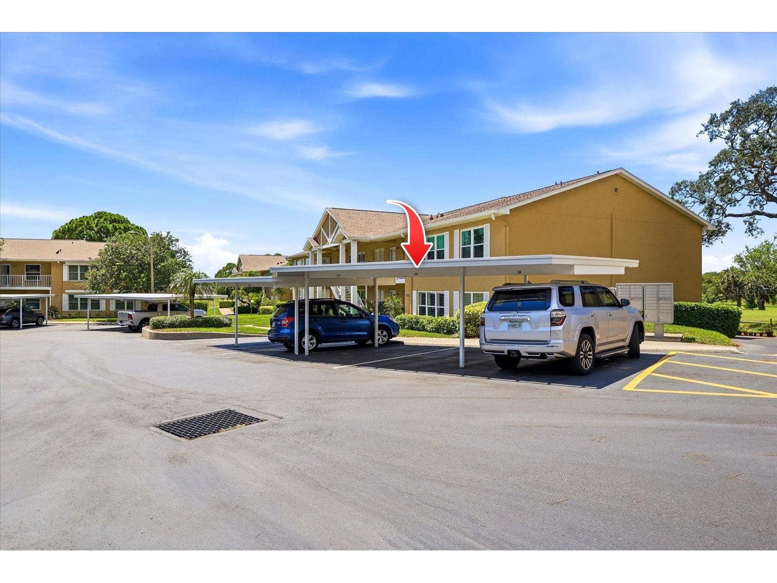 2240 Gulf View Boulevard Dunedin FL 34698 TB8519665 image28