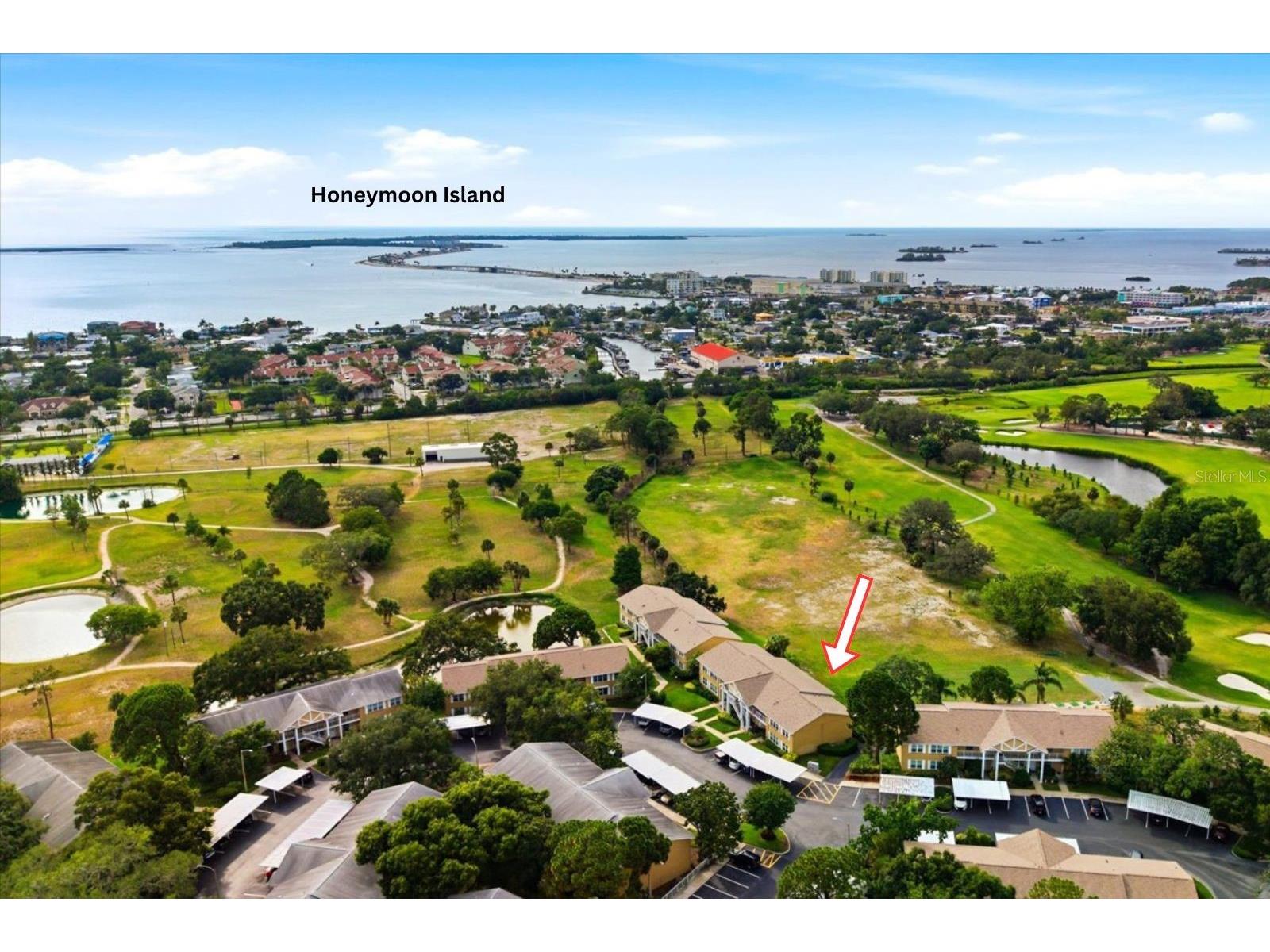 2240 Gulf View Boulevard Dunedin FL 34698 TB8519665 image3