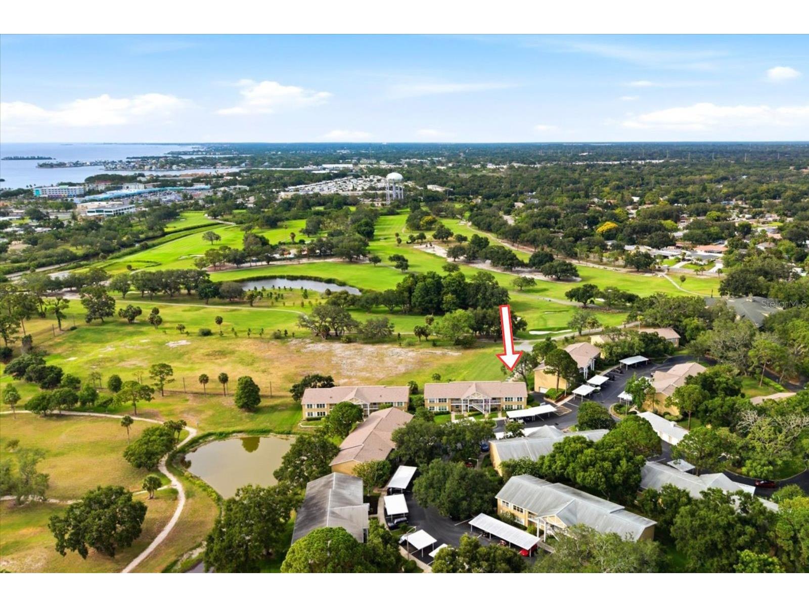 2240 Gulf View Boulevard Dunedin FL 34698 TB8519665 image31