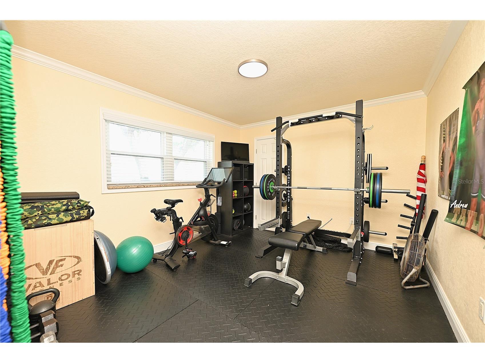 2240 Lake Ariana Boulevard Auburndale FL 33823 L4961720 image42