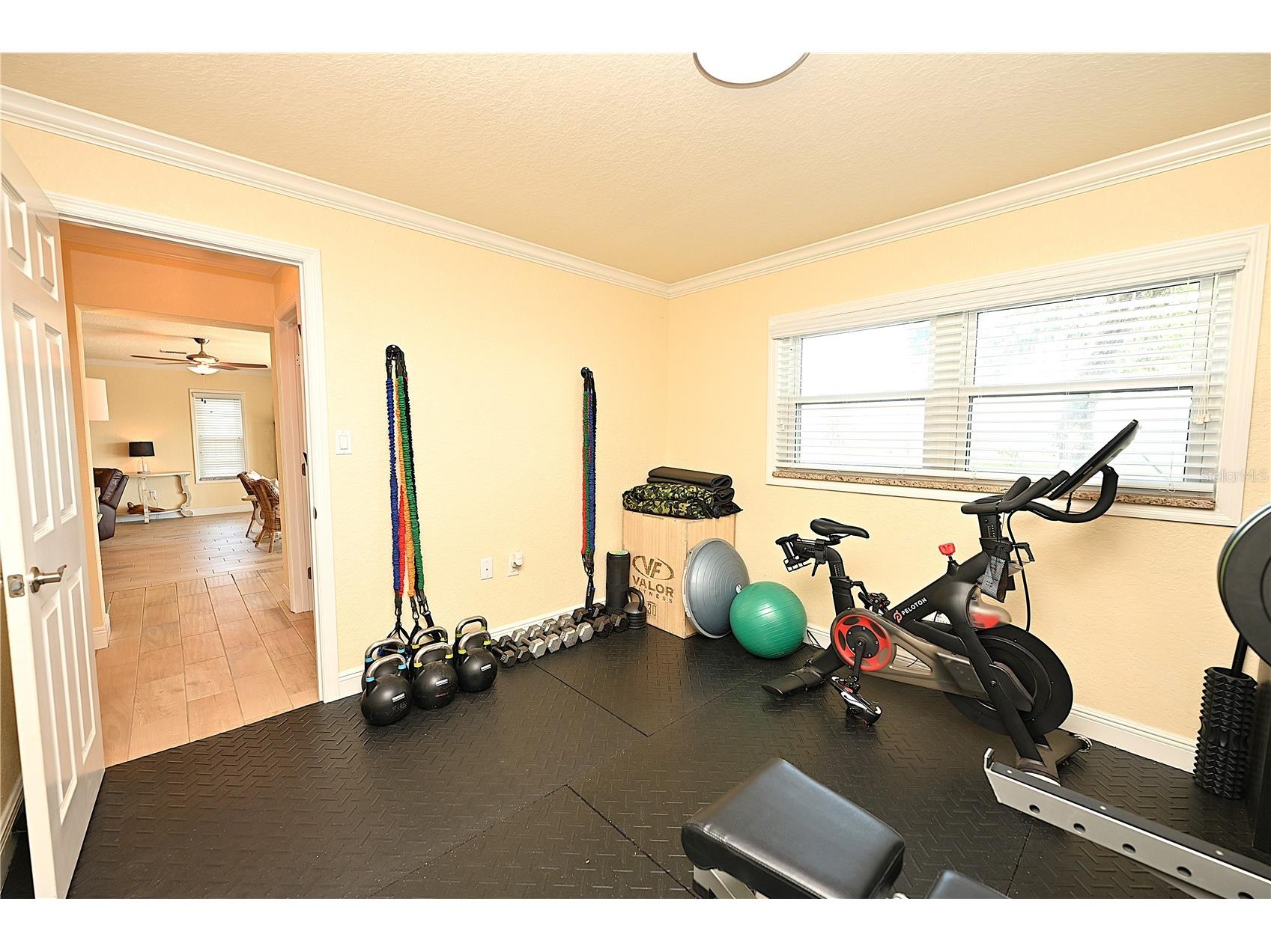 2240 Lake Ariana Boulevard Auburndale FL 33823 L4961720 image43