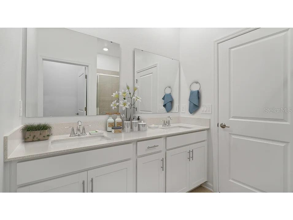 2240 Red Sun Street Apopka FL 32703 O6384224 image11