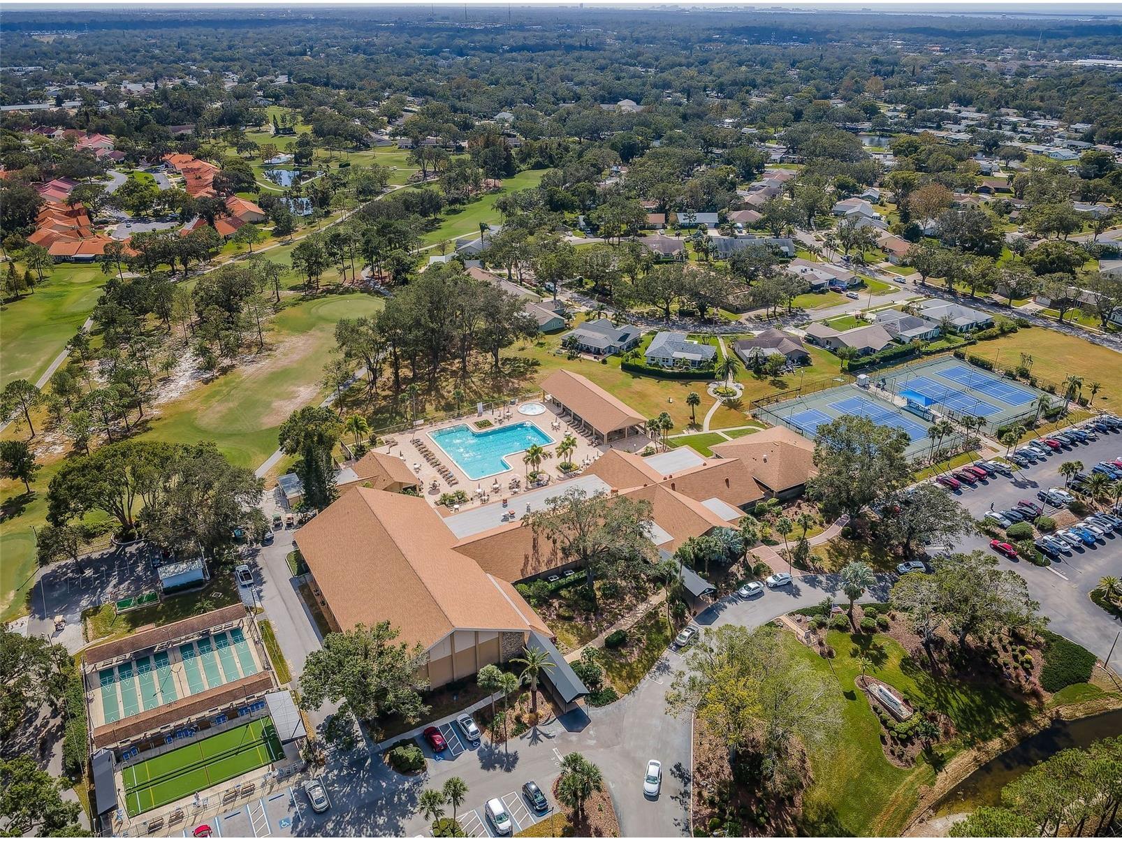 2240 Spruce Lane #D Palm Harbor FL 34684 - LAKE TARPON TB8481187 image37