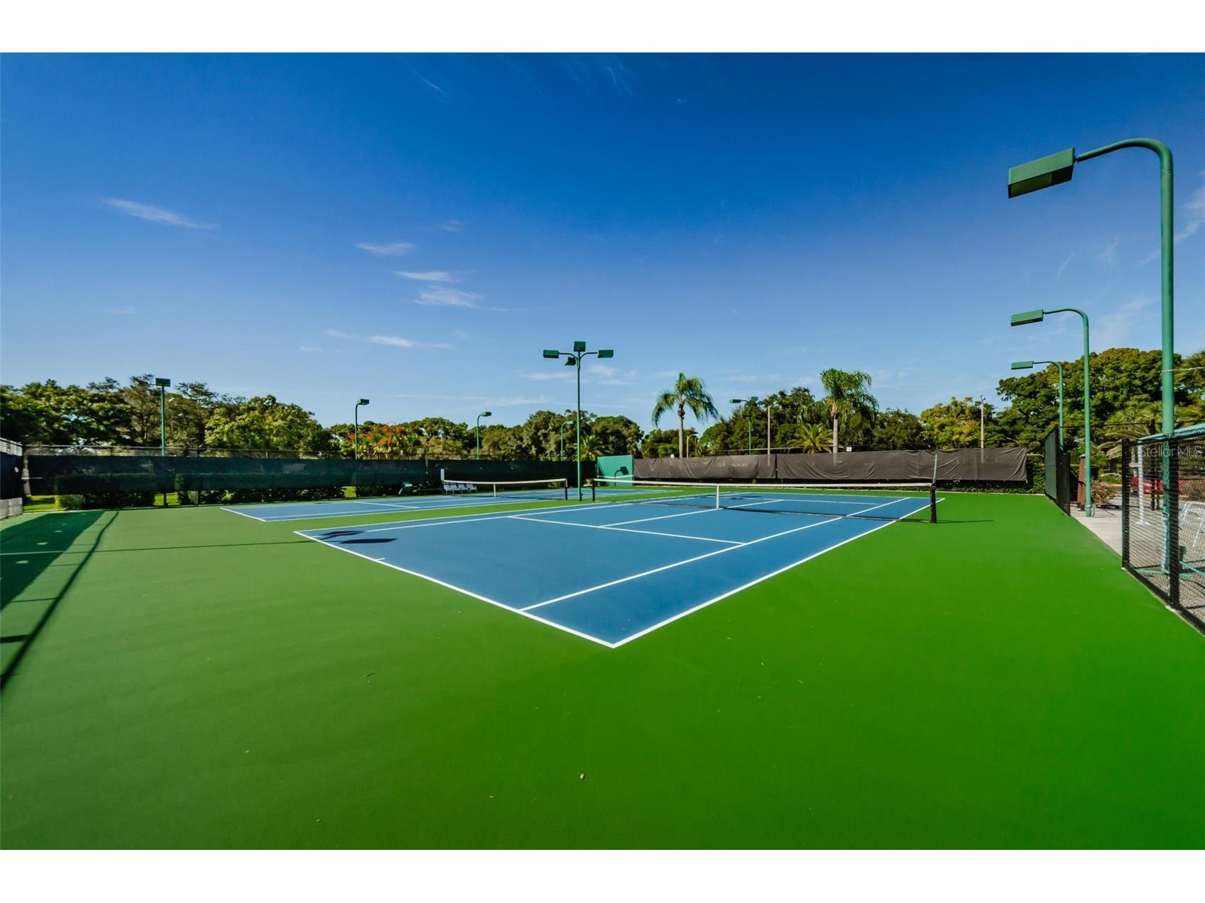 2240 Spruce Lane #D Palm Harbor FL 34684 - LAKE TARPON TB8481187 image47