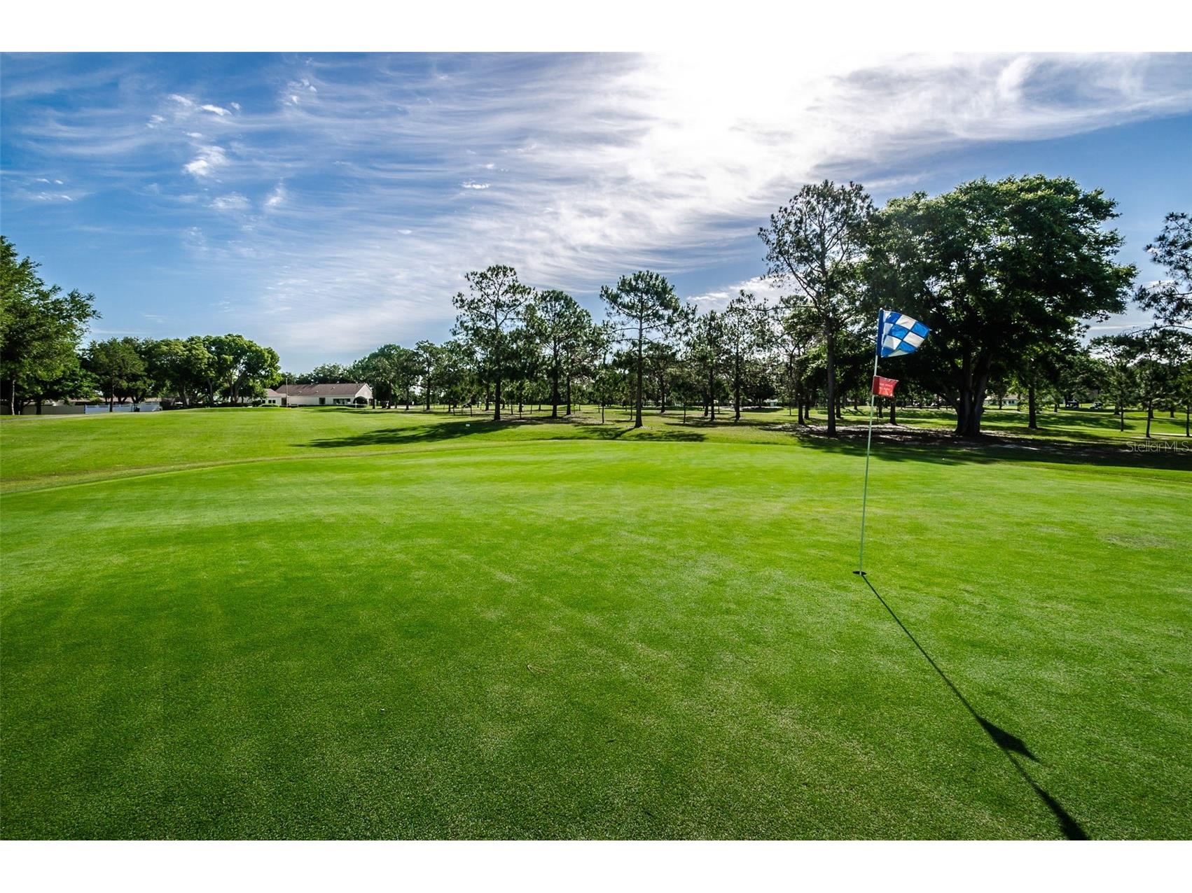 2240 Spruce Lane #D Palm Harbor FL 34684 - LAKE TARPON TB8481187 image63