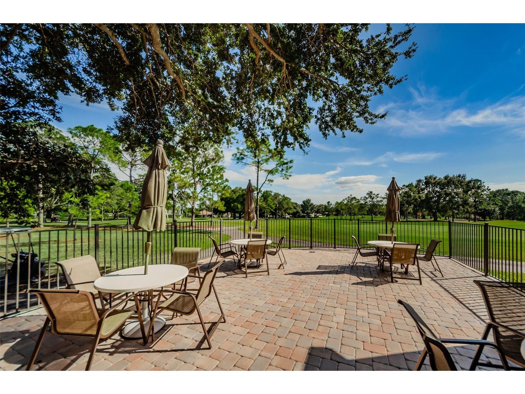 2240 Spruce Lane #D Palm Harbor FL 34684 - LAKE TARPON TB8481187 image64