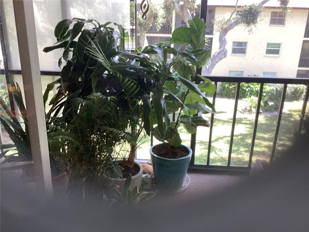 2240 Stickney Point Road #231 Sarasota FL 34231 A4665734 image22