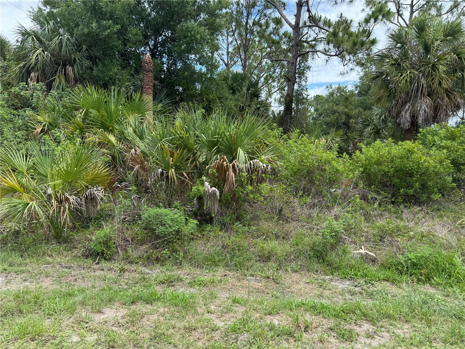 22404 Seyburn Terrace Port Charlotte FL 33954 C7526837 image1