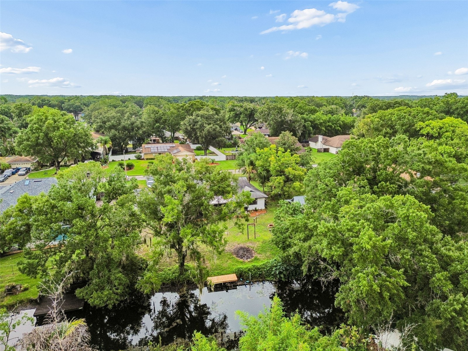 22408 Shoreside Drive Land O Lakes FL 34639 TB8528755 image4