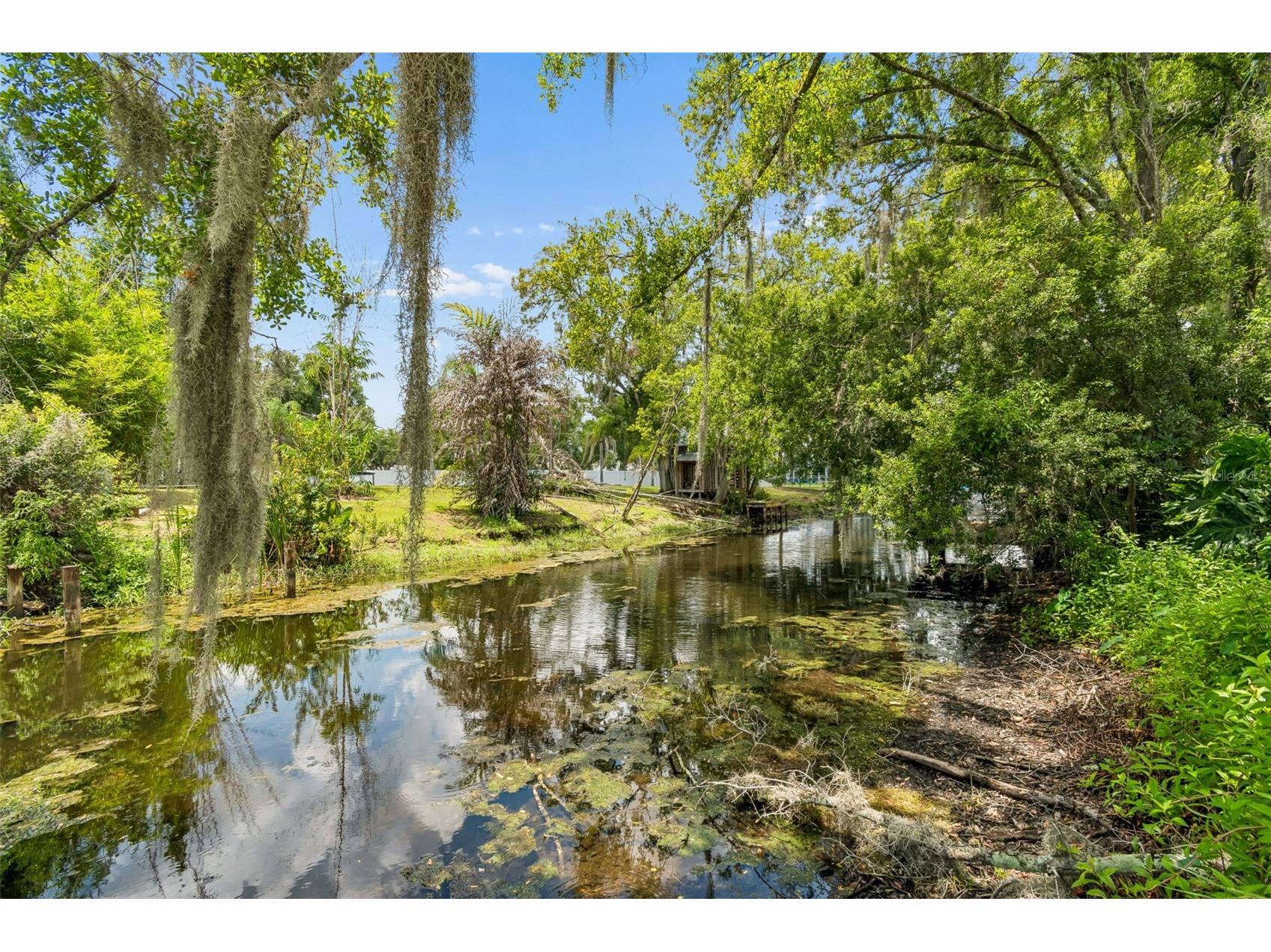 22408 Shoreside Drive Land O Lakes FL 34639 TB8528755 image61