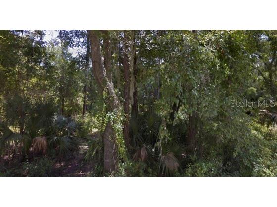 2241 Estes Drive Geneva FL 32732 J971284 image1