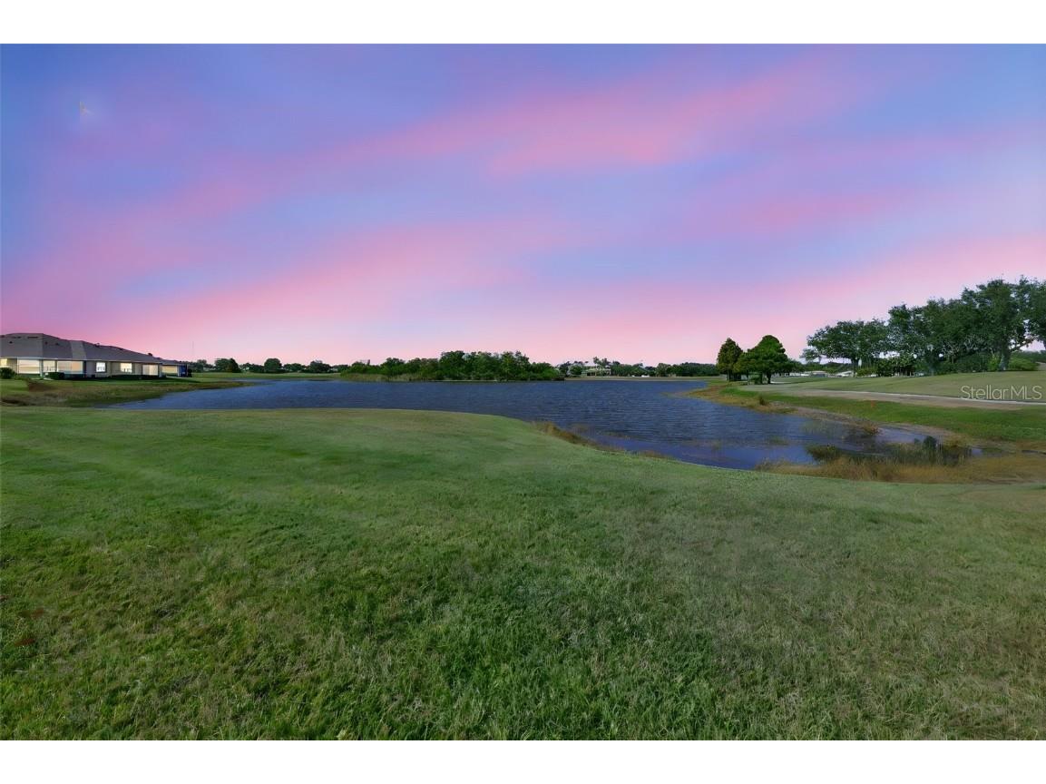 2241 Nottingham Greens Drive Sun City Center FL 33573 TB8450411 image1