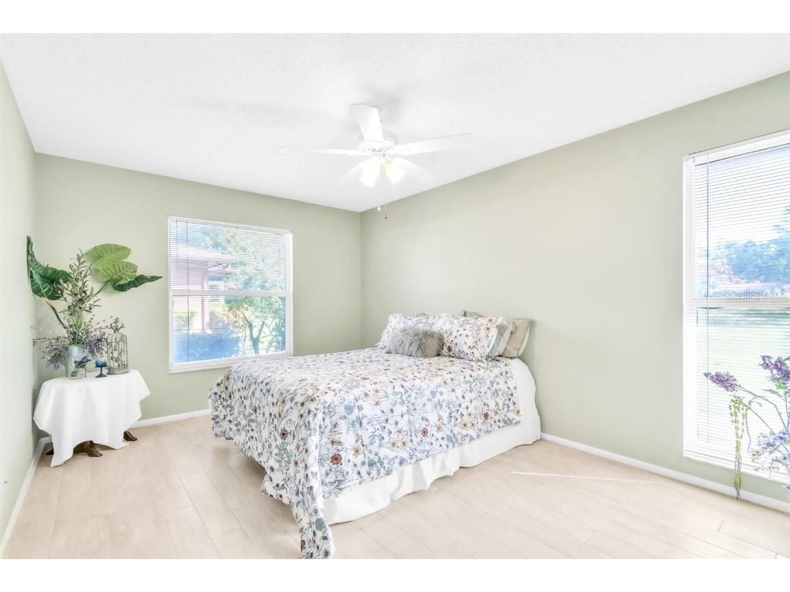 2241 Shelly Drive #D Palm Harbor FL 34684 TB8438106 image16