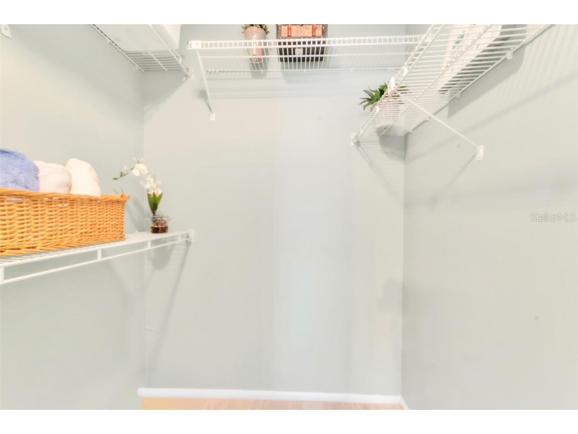 2241 Shelly Drive #D Palm Harbor FL 34684 TB8438106 image18