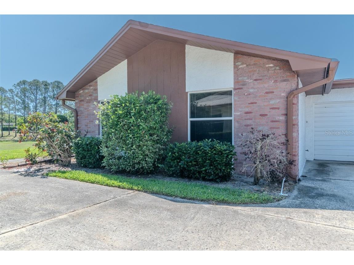 2241 Shelly Drive #D Palm Harbor FL 34684 TB8438106 image20