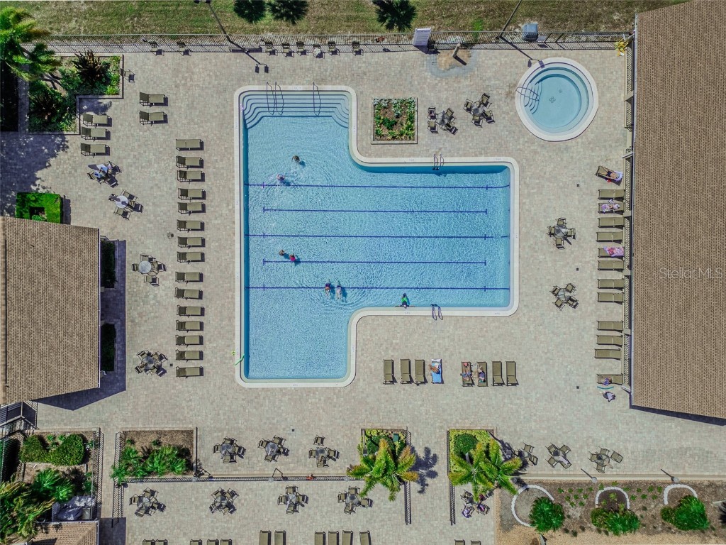 2241 Shelly Drive #D Palm Harbor FL 34684 TB8438106 image26