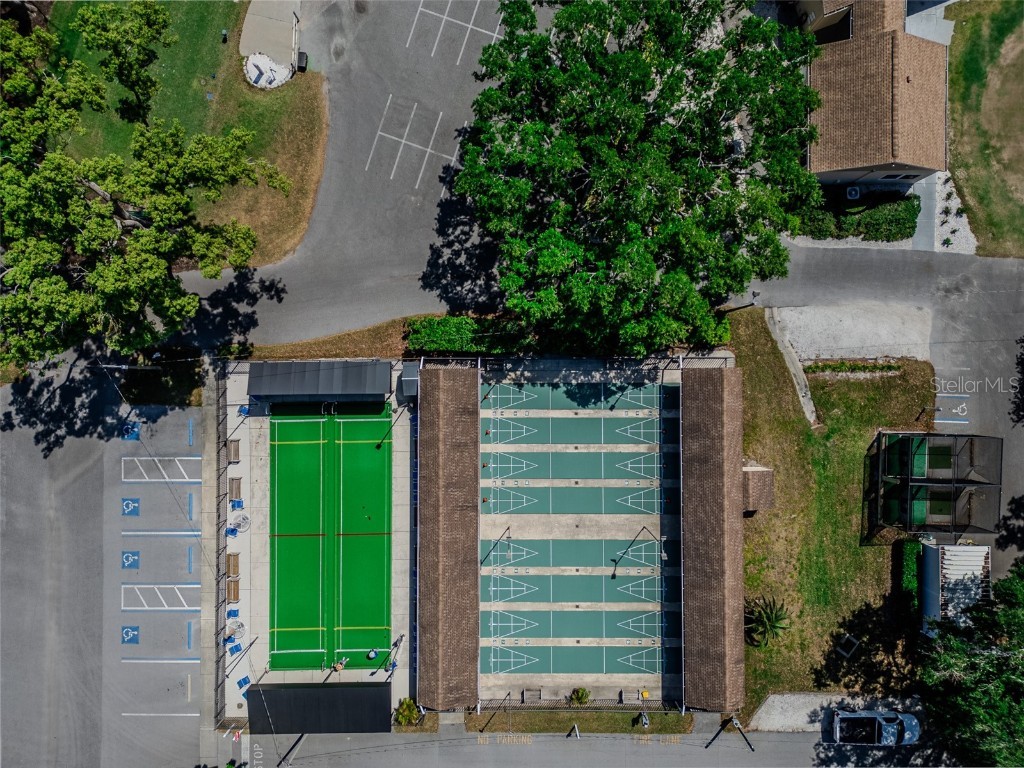 2241 Shelly Drive #D Palm Harbor FL 34684 TB8438106 image27