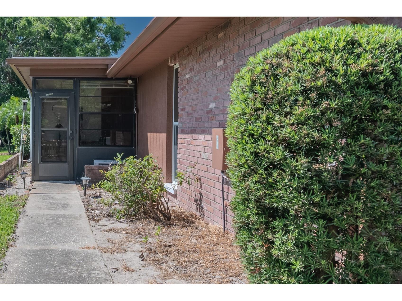 2241 Shelly Drive #D Palm Harbor FL 34684 TB8438106 image32