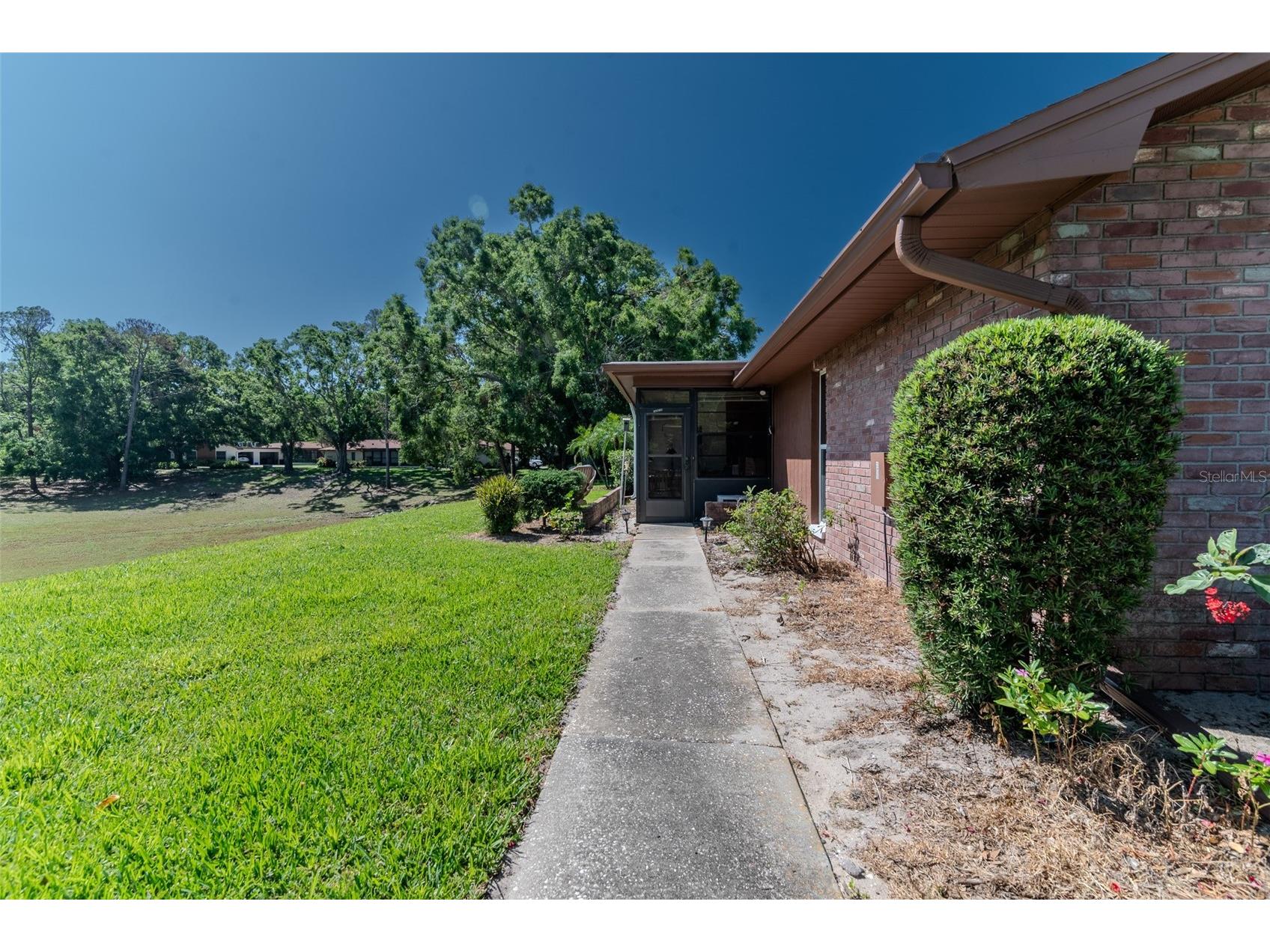 2241 Shelly Drive #D Palm Harbor FL 34684 TB8438106 image33