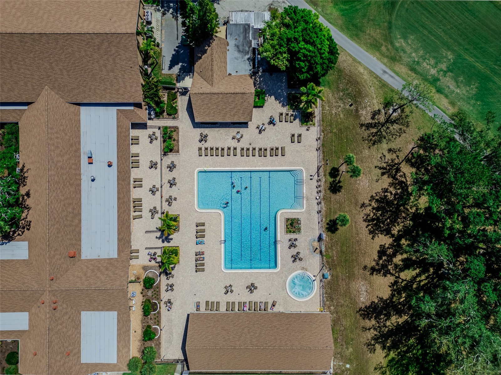 2241 Shelly Drive #D Palm Harbor FL 34684 TB8438106 image37