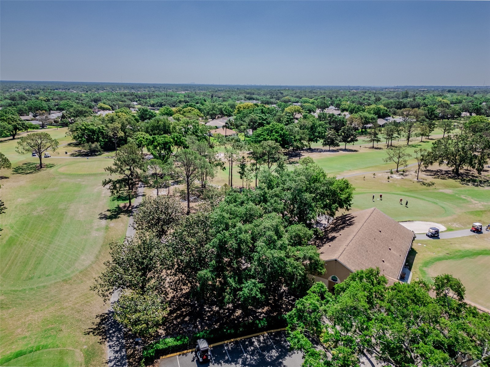 2241 Shelly Drive #D Palm Harbor FL 34684 TB8438106 image40