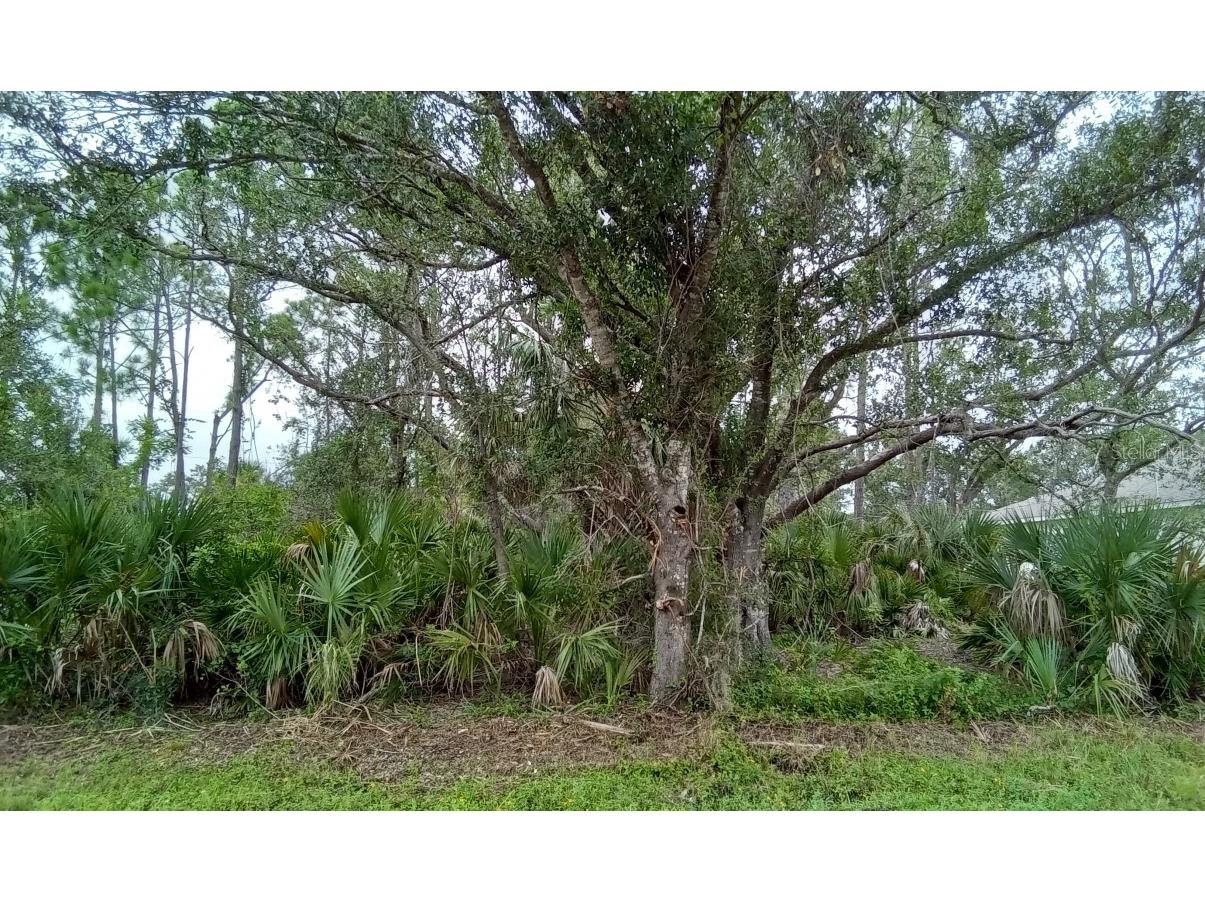 22412 Sacramento Avenue Port Charlotte FL 33954 O6137241 image1