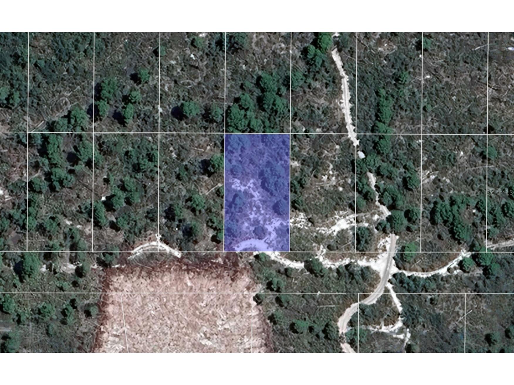 2242 Honey Dew Avenue Sebring FL 33875 TB8476429 image1