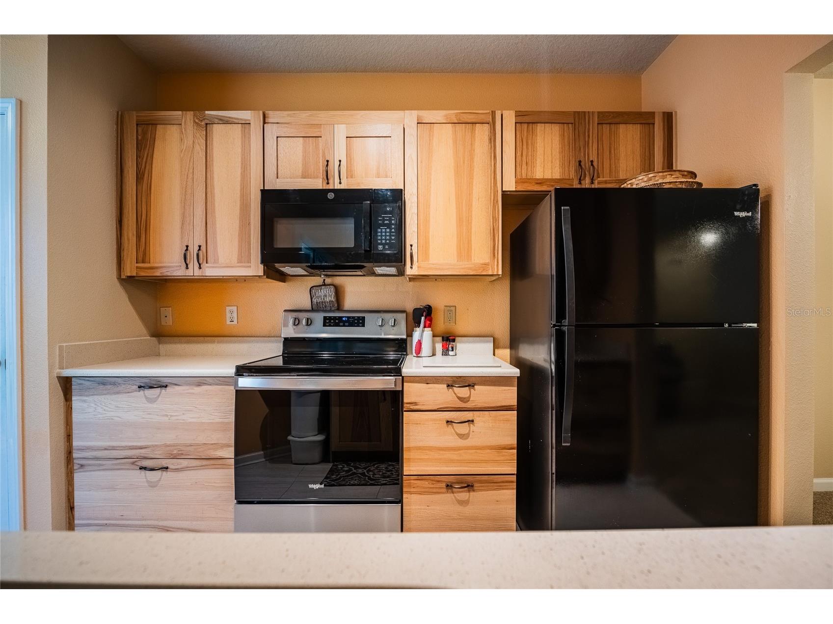 2242 Kings Palace Drive #2242 Riverview FL 33578 TB8523869 image14