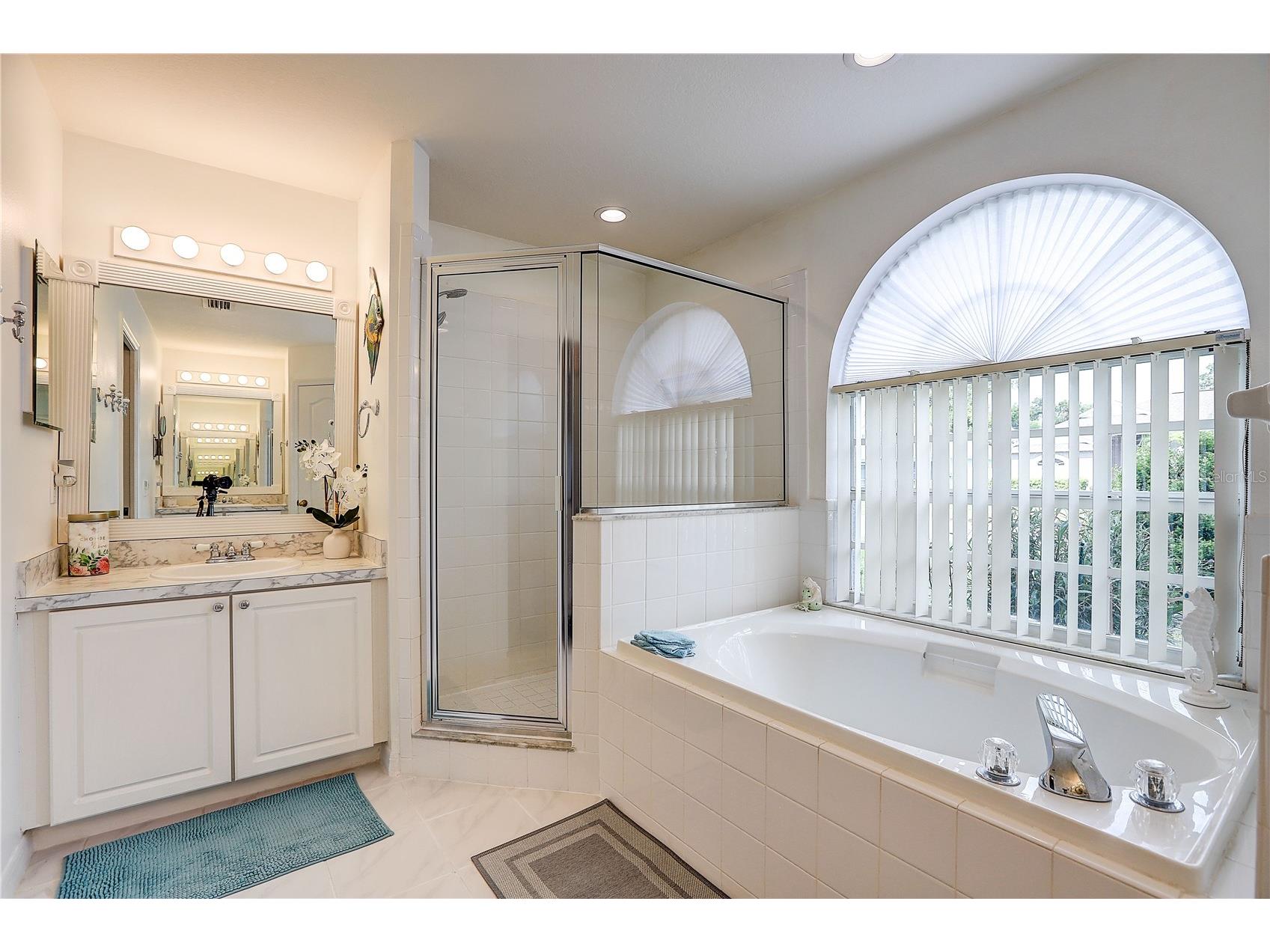 2242 Towering Oaks Circle Seffner FL 33584 TB8531581 image17