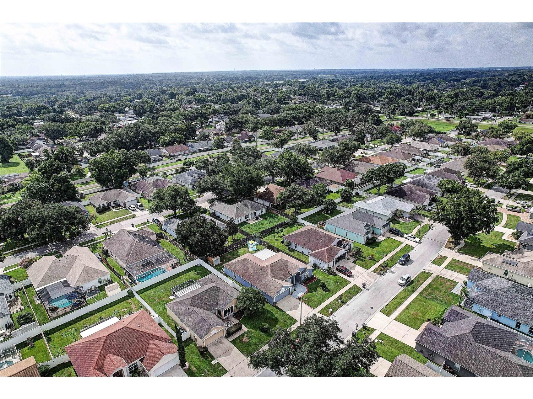 2242 Towering Oaks Circle Seffner FL 33584 TB8531581 image40